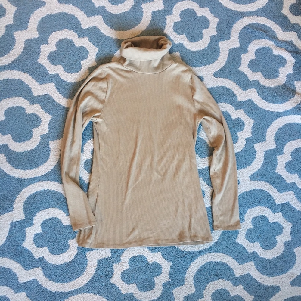 COPY - A&F Tan Turtleneck